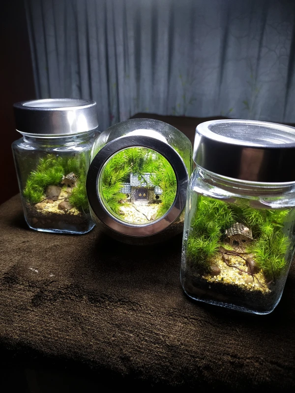 Secret House Tiny Terrarium with Zero Moss Technology – Miniature Indoor Glass Garden